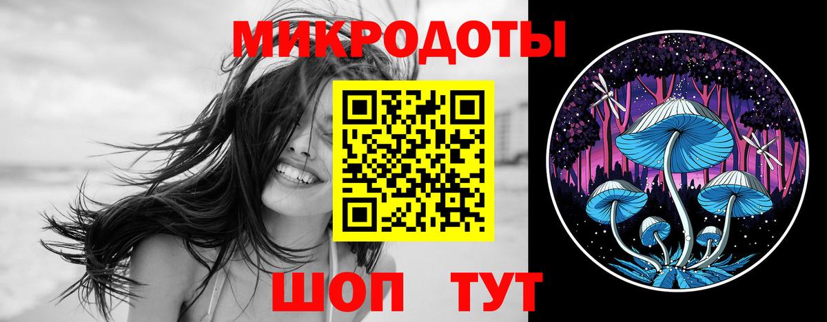 Псилоцибиновые грибы Psilocybe  Галлюциногенные грибы Psilocybe  Вход с VPN  Белогорск 