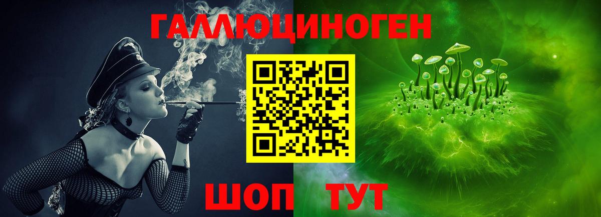 Псилоцибиновые грибы Cubensis Белогорск